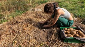 Gardening with a disability #125